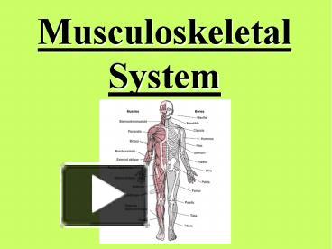 PPT – Musculoskeletal System PowerPoint Presentation | Free To Download ...