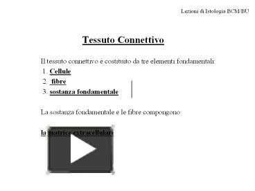 PPT – Tessuto Connettivo PowerPoint Presentation | Free To Download ...