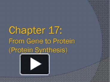 PPT – Chapter 17: From Gene To Protein (Protein Synthesis) PowerPoint ...