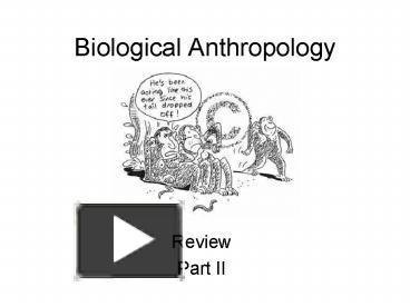 PPT – Biological Anthropology PowerPoint Presentation | Free To View ...