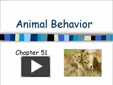 PPT – Animal Behavior PowerPoint Presentation | Free To Download - Id ...