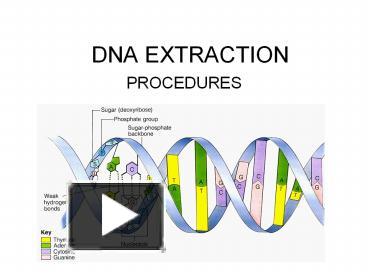 PPT – DNA EXTRACTION PowerPoint Presentation | Free To Download - Id ...