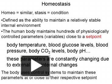 PPT Homeostasis PowerPoint Presentation Free To View Id 70c714 MDcxM