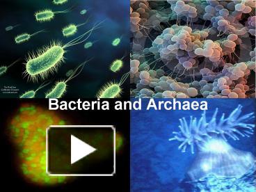 PPT – Bacteria And Archaea PowerPoint Presentation | Free To Download ...