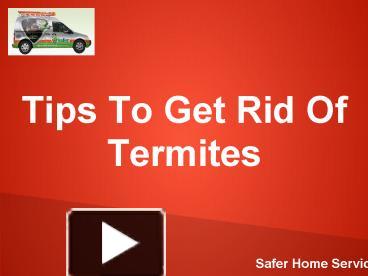 PPT – Tips To Get Rid Of Termites PowerPoint Presentation | Free To ...