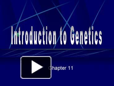 PPT – Introduction To Genetics PowerPoint Presentation | Free To View ...