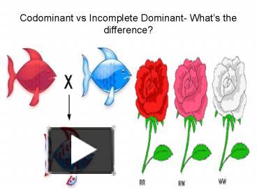 what does incomplete dominance mean in science terms