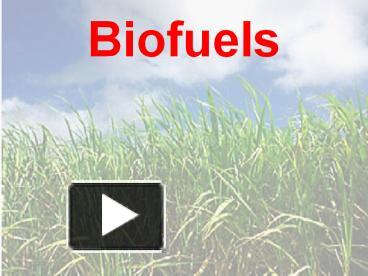 PPT – Biofuels PowerPoint Presentation | Free To Download - Id: 71ac1c ...