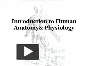 PPT – Introduction To Human Anatomy PowerPoint Presentation | Free To ...