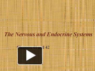 PPT – The Nervous And Endocrine Systems PowerPoint Presentation | Free ...