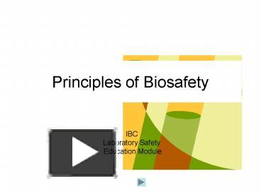 PPT – Principles Of Biosafety PowerPoint Presentation | Free To View ...