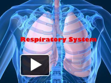 anatomy of respiratory system ppt download