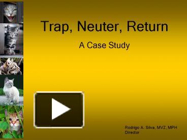 PPT – Trap, Neuter, Return PowerPoint Presentation | Free To View - Id ...