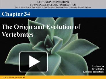 PPT – The Origin and Evolution of Vertebrates PowerPoint presentation