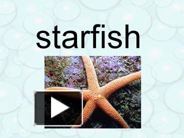 starfish diagram bivium