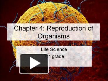 PPT – Chapter 4: Reproduction Of Organisms PowerPoint Presentation ...