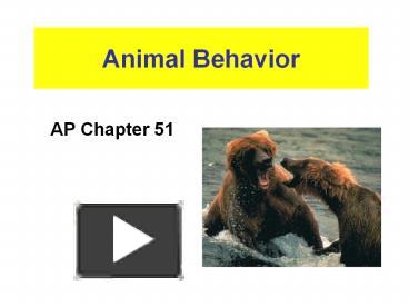 PPT – Animal Behavior PowerPoint Presentation | Free To View - Id ...