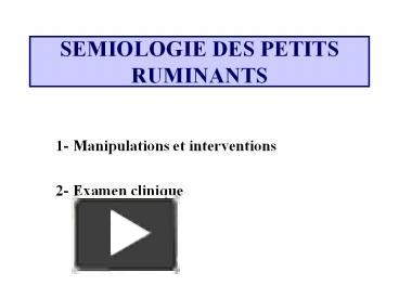 PPT – SEMIOLOGIE DES PETITS RUMINANTS PowerPoint Presentation | Free To ...