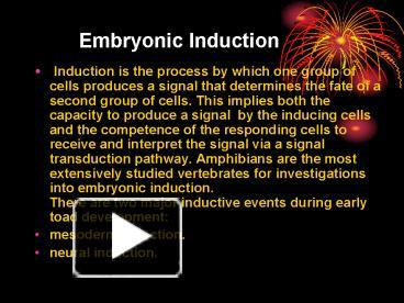 PPT – Embryonic Induction PowerPoint Presentation | Free To View - Id ...