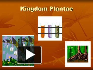 PPT – Kingdom Plantae PowerPoint Presentation | Free To View - Id ...