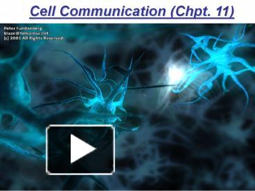 Ppt Cell Communication Chpt Powerpoint Presentation Free To