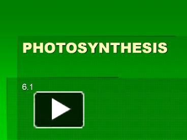 PPT – PHOTOSYNTHESIS PowerPoint Presentation | Free To View - Id ...