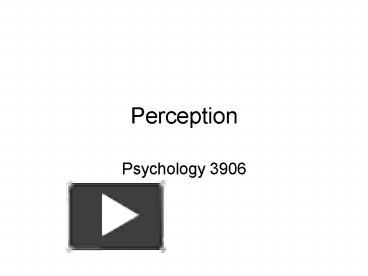 PPT – Perception PowerPoint Presentation | Free To Download - Id: 79862 ...