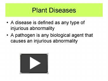 PPT – Plant Diseases PowerPoint Presentation | Free To View - Id ...