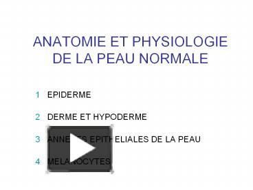 PPT ANATOMIE ET PHYSIOLOGIE DE LA PEAU NORMALE PowerPoint