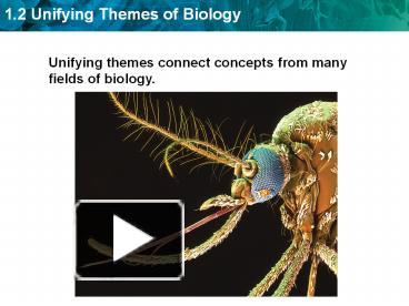 PPT – Unifying Themes Connect Concepts From Many Fields Of Biology ...