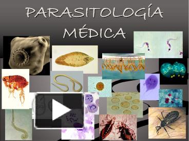 PPT PARASITOLOG PowerPoint Presentation Free To View Id B Daa ZmEwZ