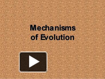 PPT – Mechanisms Of Evolution PowerPoint Presentation | Free To ...