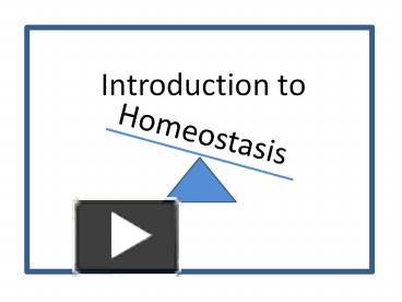 PPT – Homeostasis PowerPoint Presentation | Free To Download - Id ...