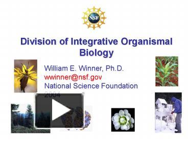 PPT – Division Of Integrative Organismal Biology PowerPoint ...