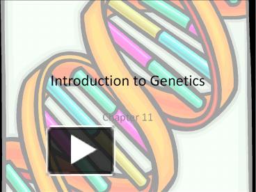 PPT – Introduction To Genetics PowerPoint Presentation | Free To ...