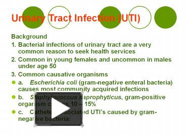 PPT – Urinary Tract Infection (UTI) PowerPoint Presentation | Free To ...