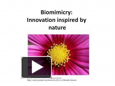 PPT – Biomimicry: Innovation Inspired By Nature PowerPoint Presentation ...