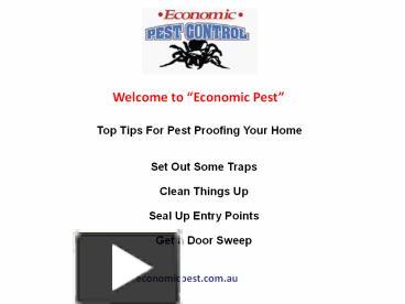 PPT Top Tips For Pest Proofing Your Home PowerPoint Presentation