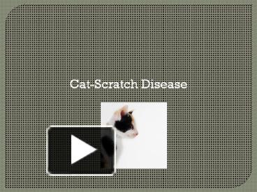 PPT – Cat-Scratch Disease PowerPoint Presentation | Free To Download ...