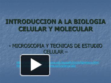 PPT - Microscopia de polarização PowerPoint Presentation, free download -  ID:4509931