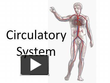 PPT – Circulatory System PowerPoint Presentation | Free To Download ...