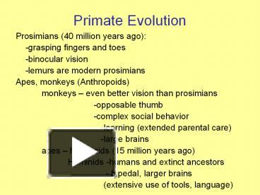 PPT – Primate Evolution PowerPoint Presentation | Free To View - Id ...