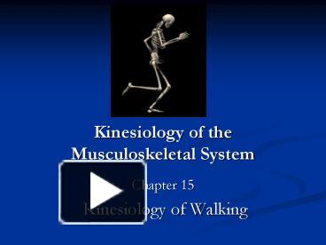 PPT – Kinesiology Of The Musculoskeletal System PowerPoint Presentation ...