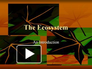 PPT – The Ecosystem PowerPoint Presentation | Free To Download - Id ...