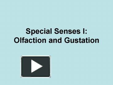 PPT – Special Senses I: Olfaction And Gustation PowerPoint Presentation ...