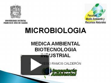 PPT MICROBIOLOGIA PowerPoint Presentation Free To View Id F OGVlZ