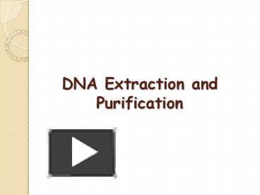 PPT – DNA Extraction And Purification PowerPoint Presentation | Free To ...