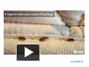 PPT – 4 Steps To Clear Your Couch Of Bed Bugs PowerPoint Presentation ...