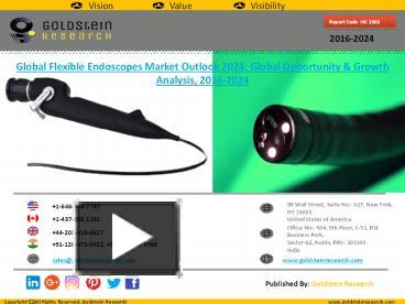 PPT Global Flexible Endoscopes Market Outlook 2024 Sample PowerPoint