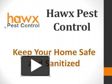 PPT – Hawx Pest Control PowerPoint Presentation | Free To Download - Id ...